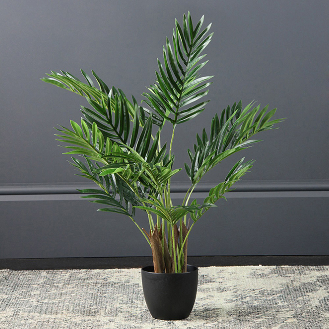 Scottish Everlastings   Real Touch Areca Palm 70cm in Size 70cm, BrandAlley