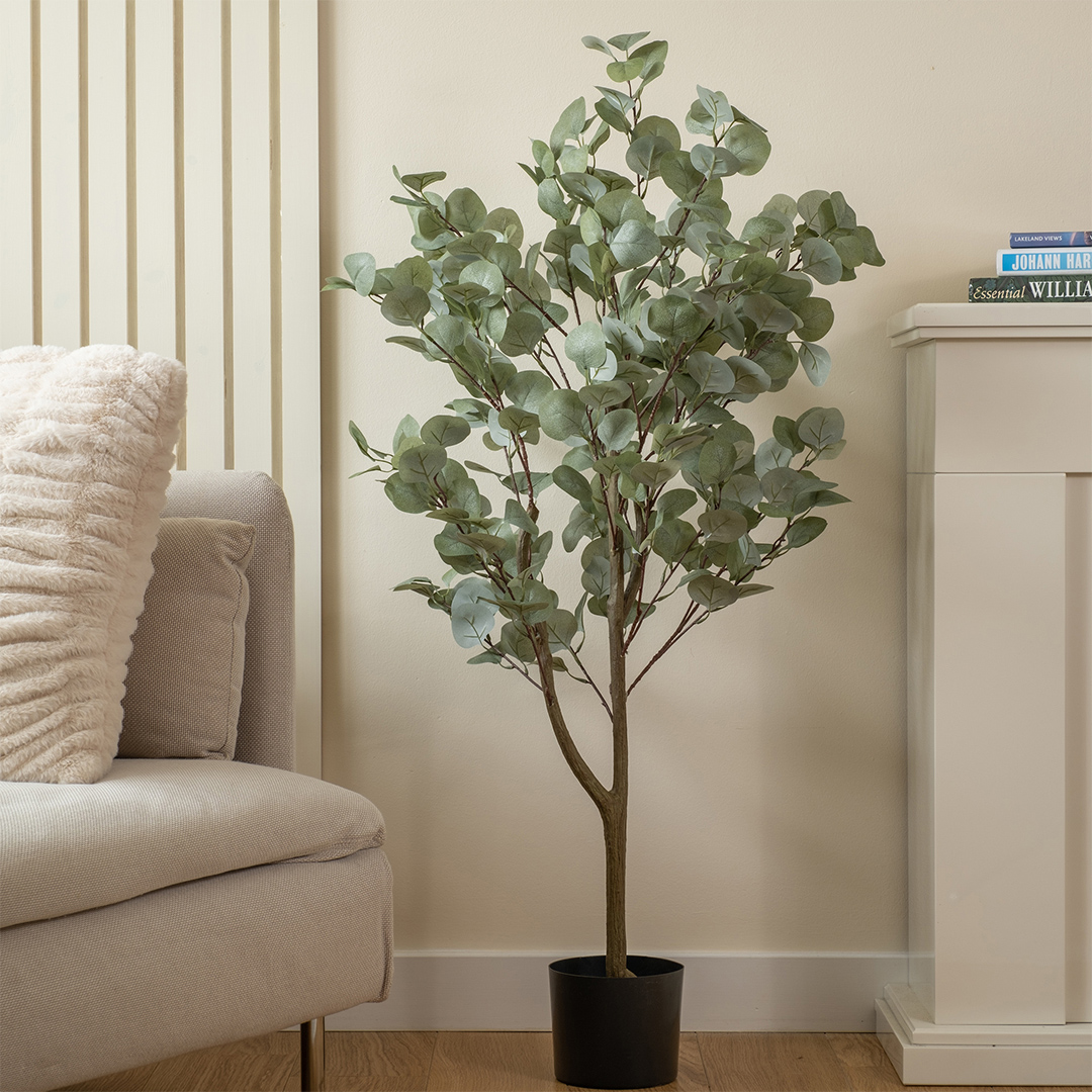 Scottish Everlastings   Eucalyptus Tree 120cm in Size 120cm, BrandAlley
