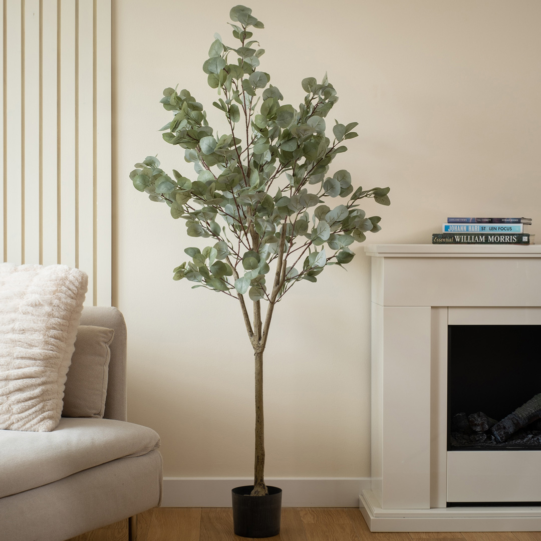 Scottish Everlastings   150cm Eucalyptus Tree in Size 150cm, BrandAlley