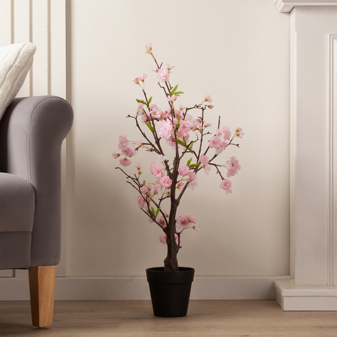 Scottish Everlastings   80cm Cherry Blossom Tree Pink in Size 80cm, BrandAlley
