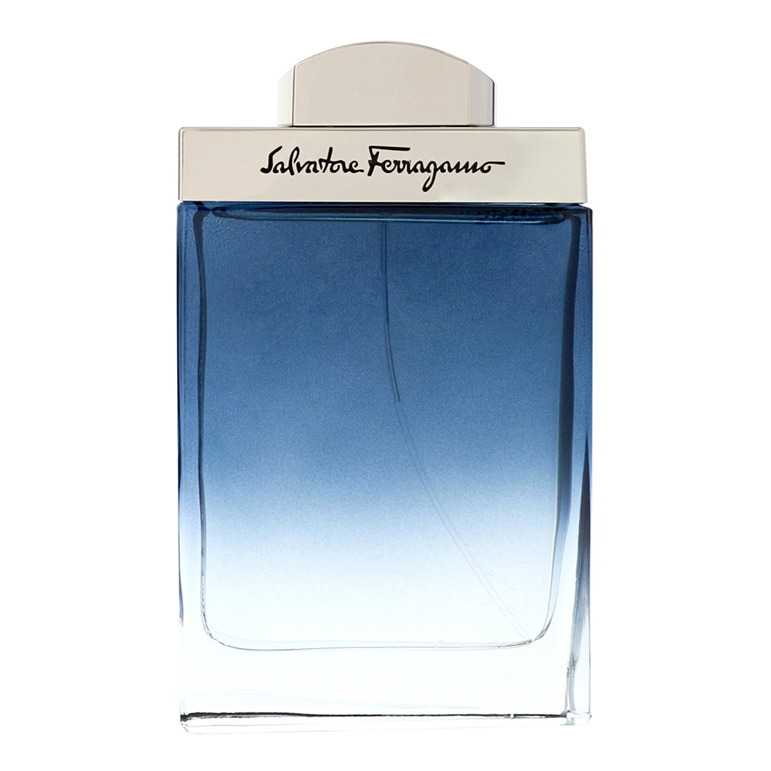 Salvatore Ferragamo     Subtil Eau De Toilette Spray 100Ml in Size 100ml, BrandAlley