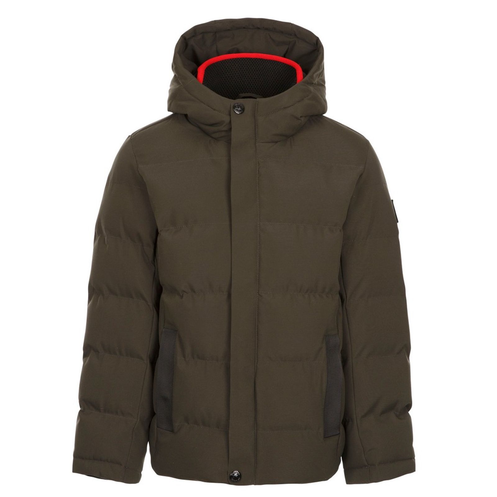 Jacket Habbton Polyester Ivy