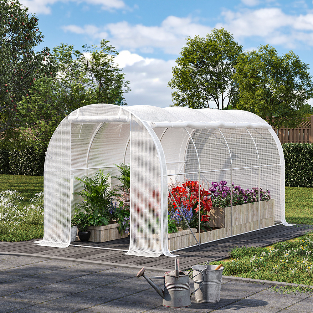 White Outdoor Large Walk-in Tunnel Greenhouse