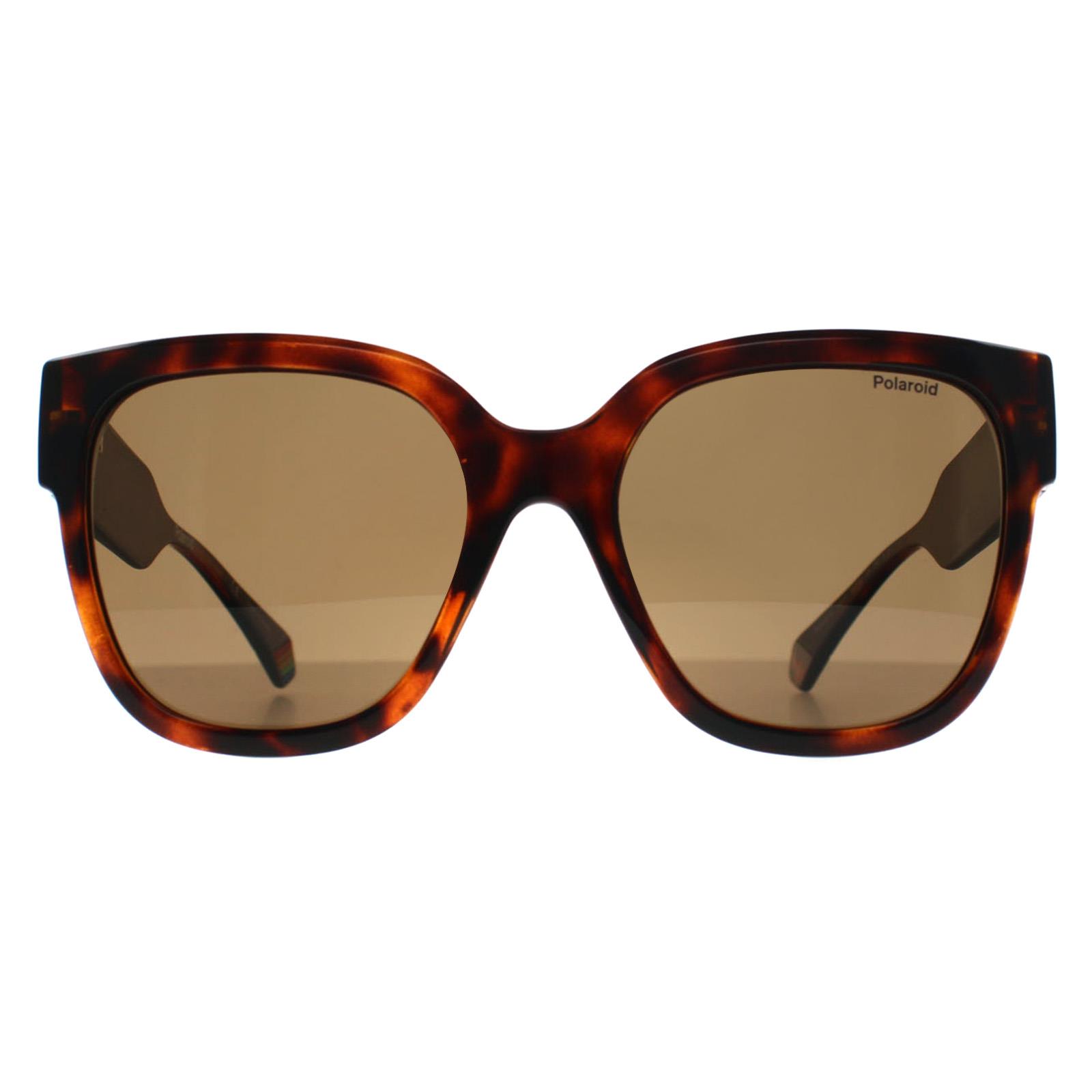 Polaroid Women's  Havana Square Sunglasses 55mm in Size Extra Large, BrandAlley