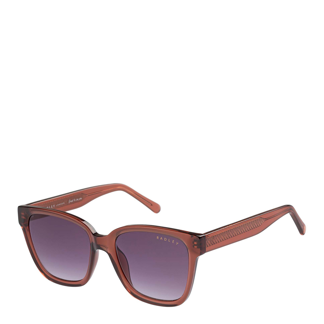Brown Frame Classic Square Sunglasses 53mm