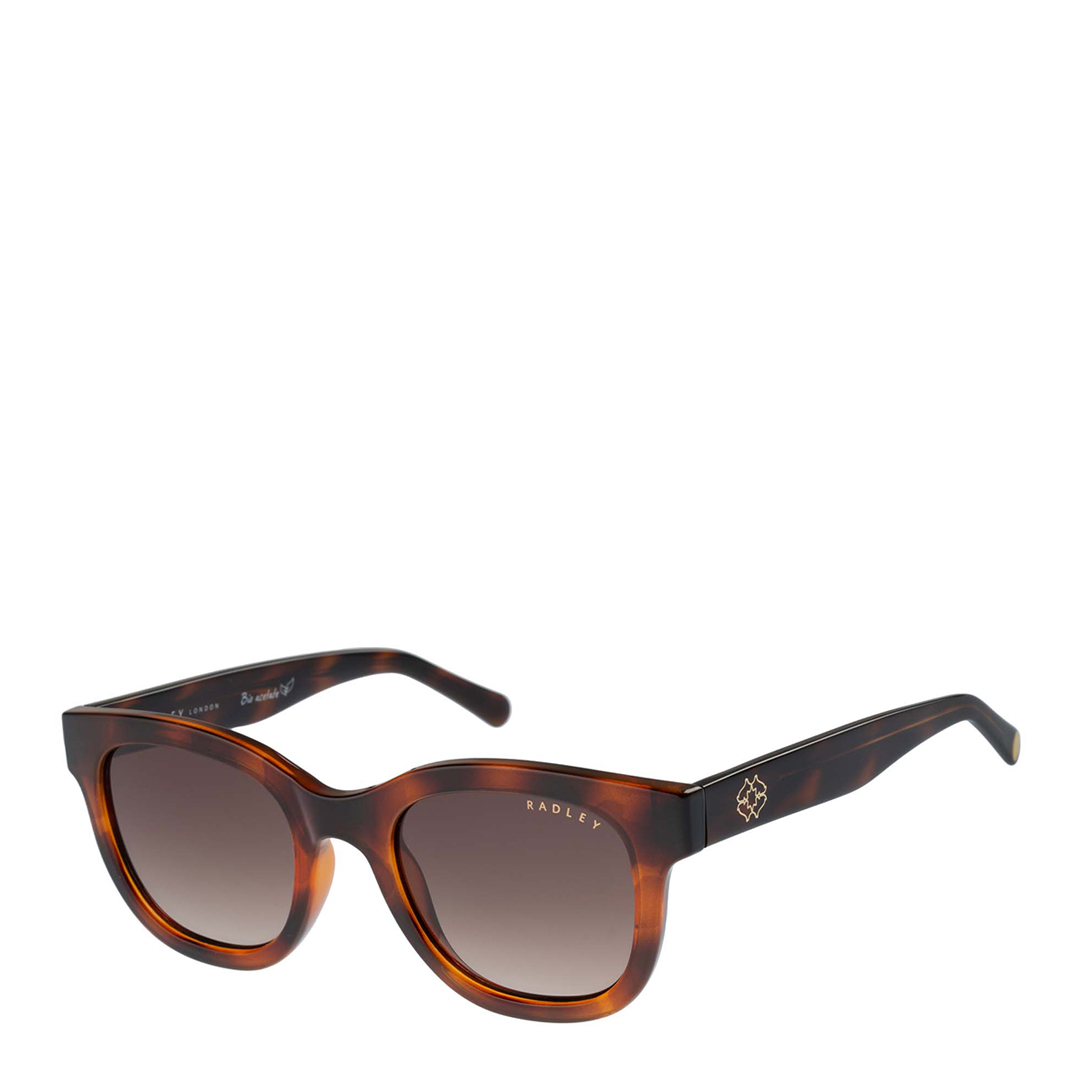 Brown Classic Tortoise Frame Sunglasses 49mm
