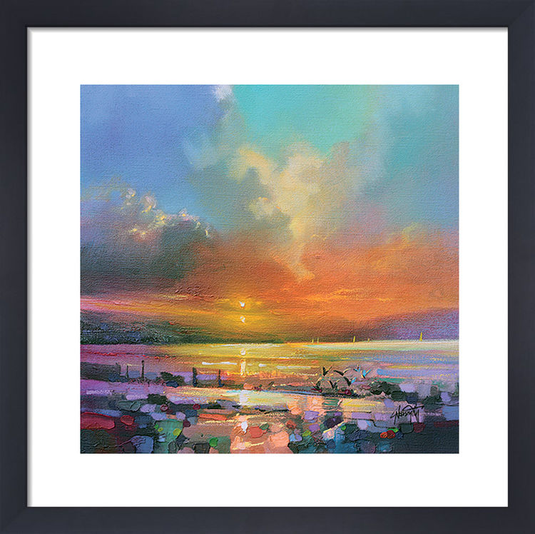 Scott Naismith  Seagulls Framed Art Print by  43cm x 43cm , BrandAlley