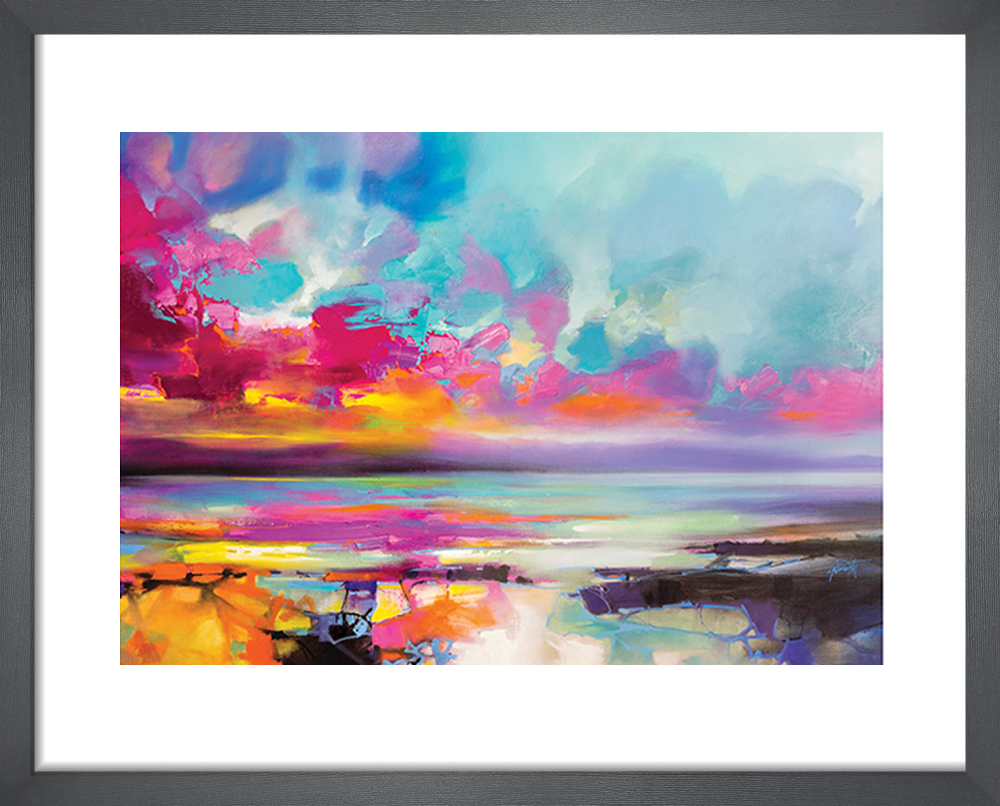 Scott Naismith  Da Capo Magenta Framed Art Print by  43cm x 33cm , BrandAlley