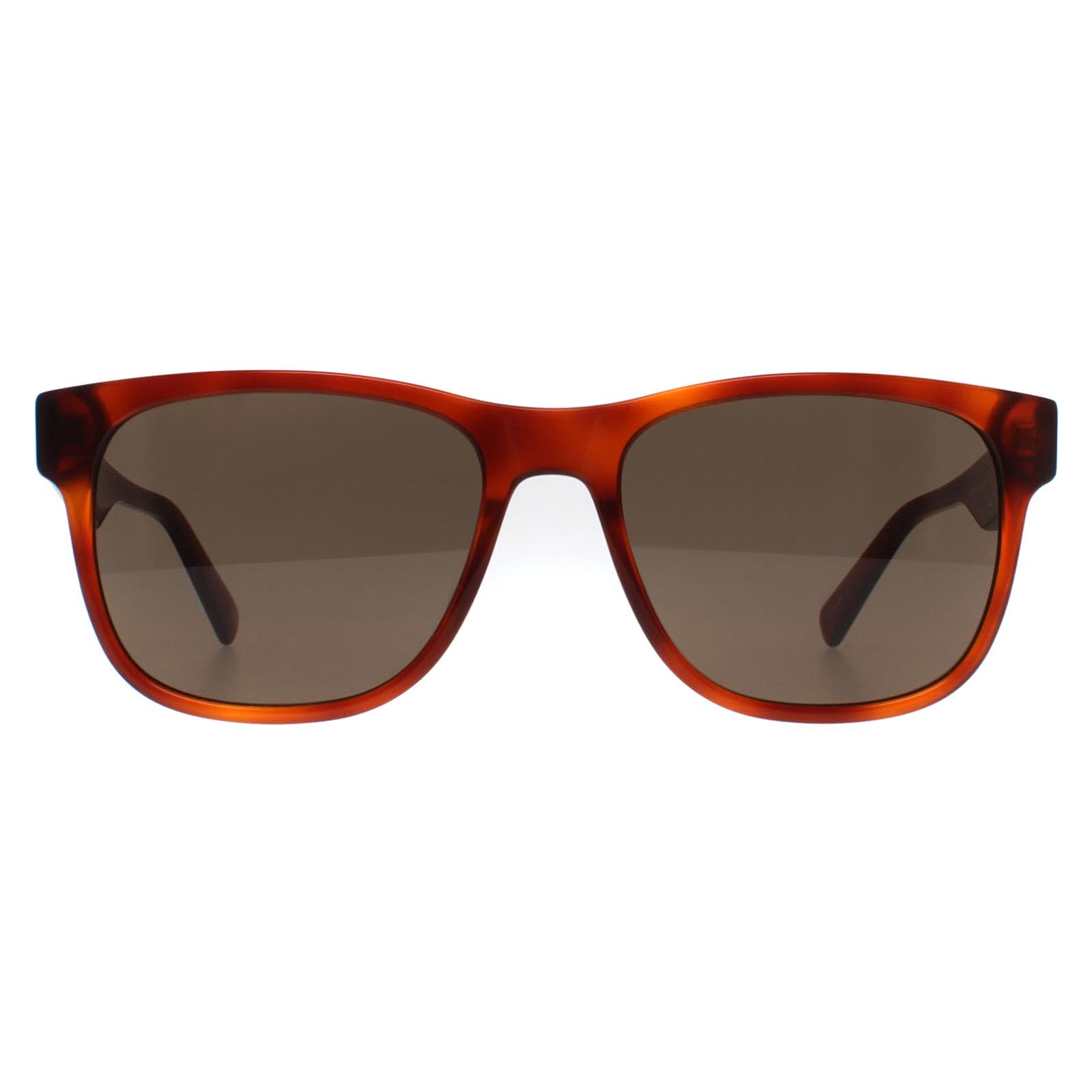 Banana Republic Sunglasses BR 4008/S C9B 70 Havana Honey Brown Banana Republic Sunglasses BR 4008/S C9B 70 Havana Honey Brown