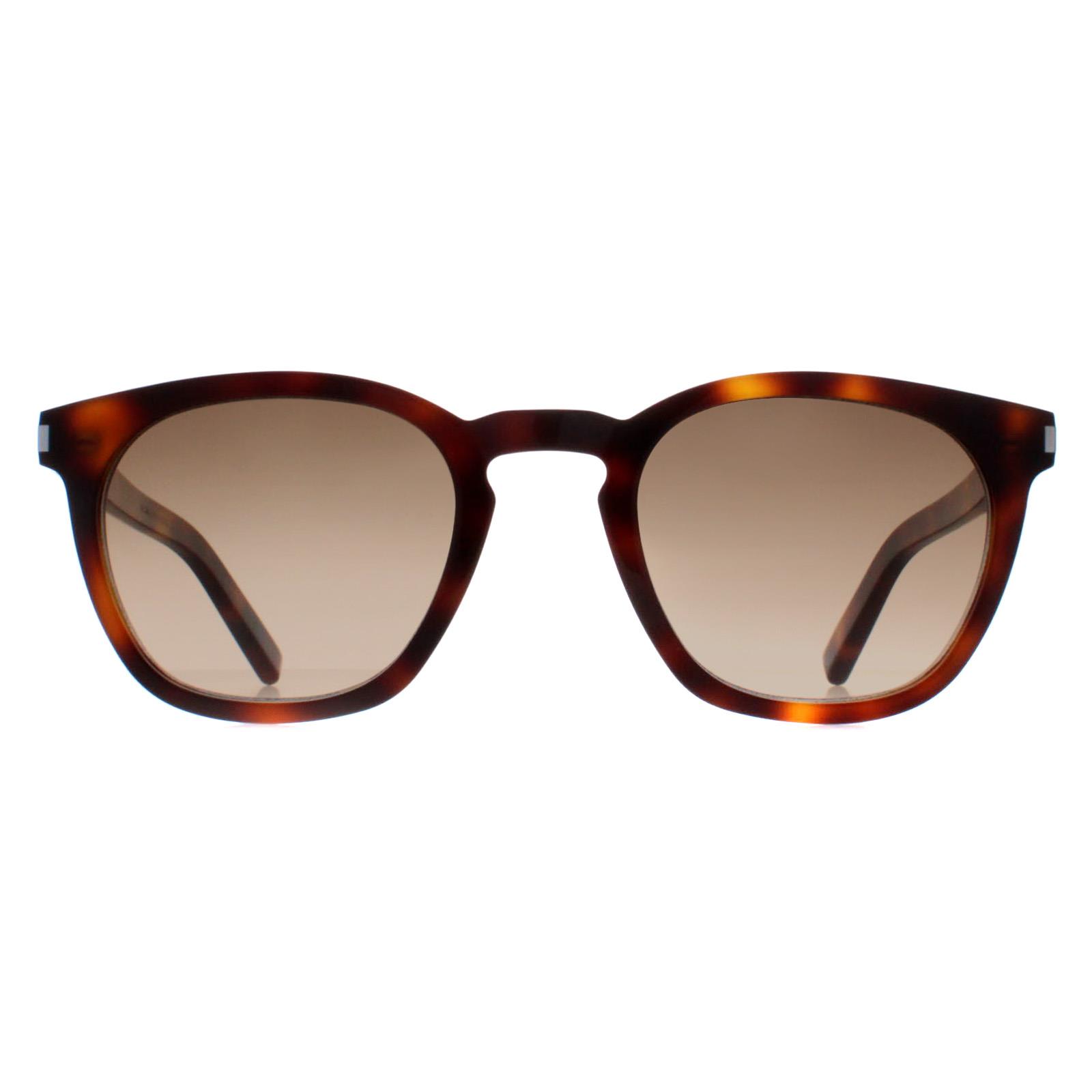 Saint Laurent Sunglasses SL28 048 Havana Brown Gradient Saint Laurent Sunglasses SL28 048 Havana Brown Gradient