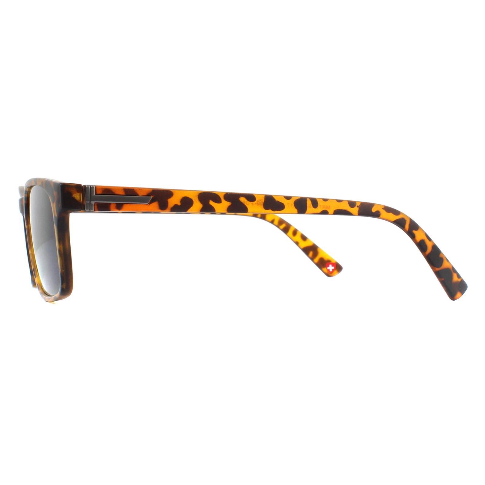 Montana Men's   Brown Sunreaders Mr73as Havana Green Readers +1.00 , BrandAlley