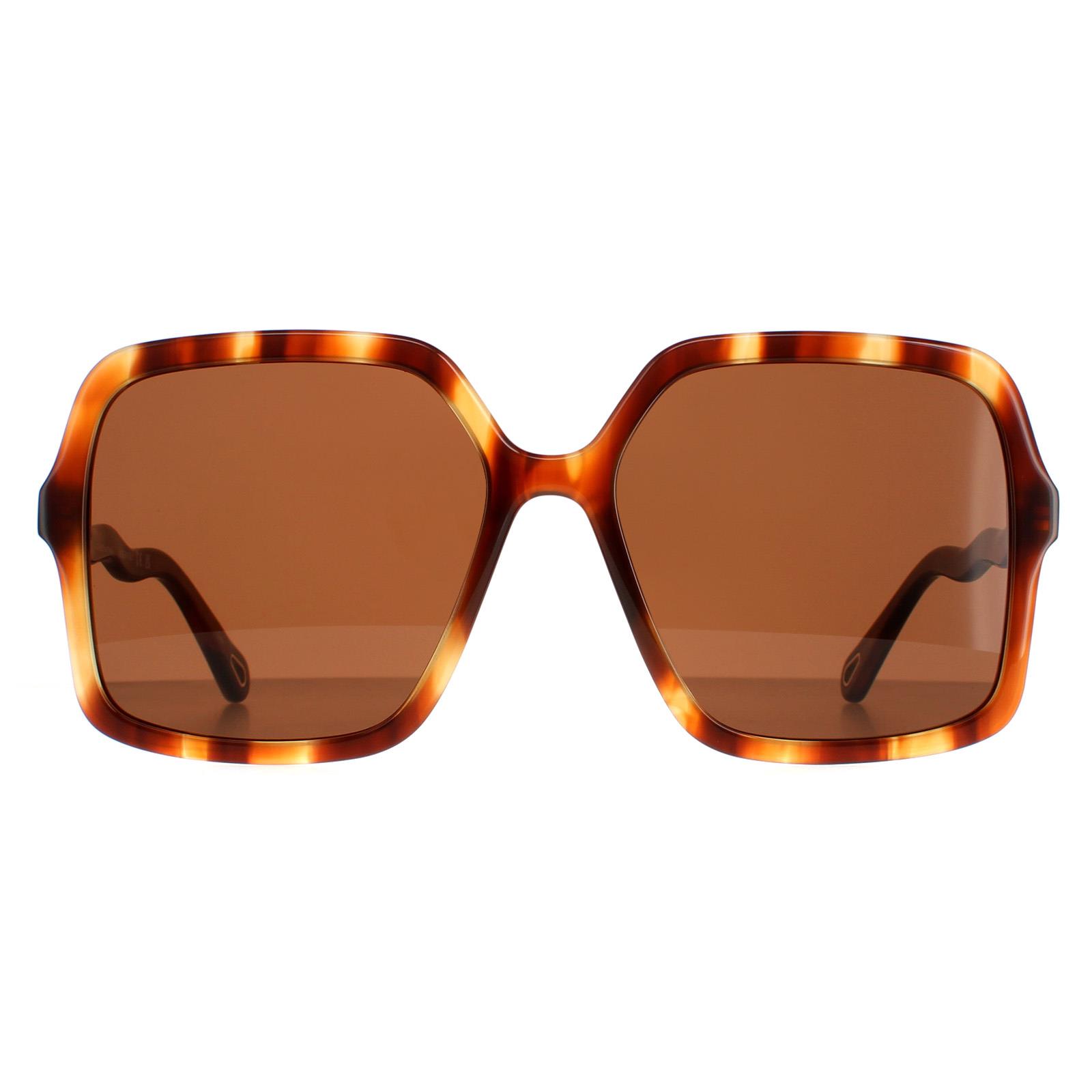 Chloé Women's Chloé  Brown Havana Chloe Zelie Sunglasses , BrandAlley