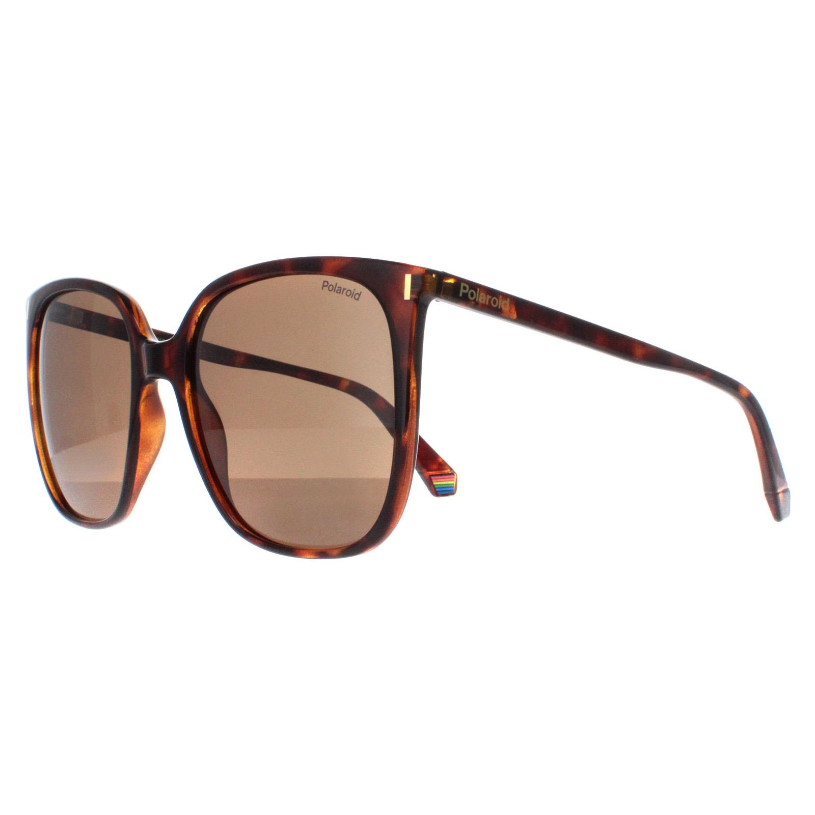 Polaroid Women's  Sunglasses PLD 6218/S 086 SP Havana Bronze Polarized , BrandAlley