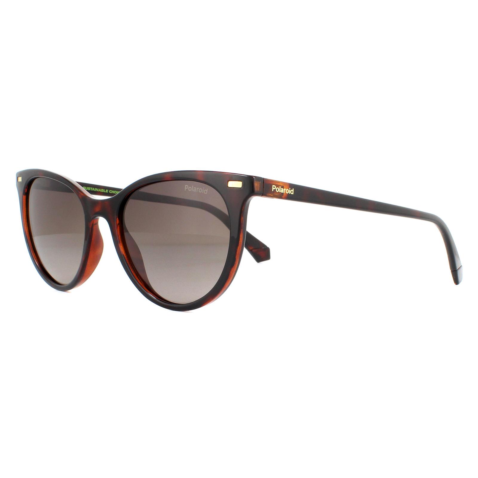 Polaroid Women's   Brown Sunglasses Pld 4107/S 086 La Havana Gradient Polarized , BrandAlley
