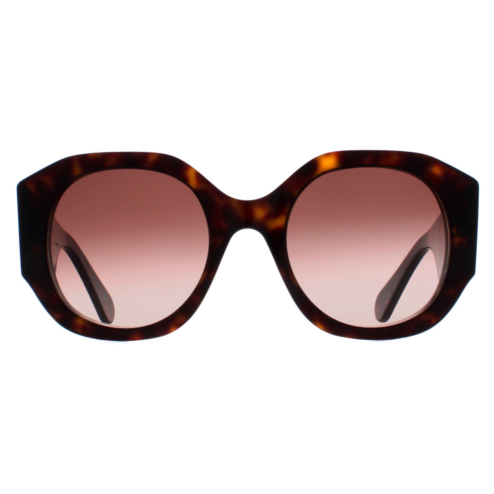 Chloé Women's Chloé  Chloe Dark Havana Brown Gradient Sunglasses , BrandAlley