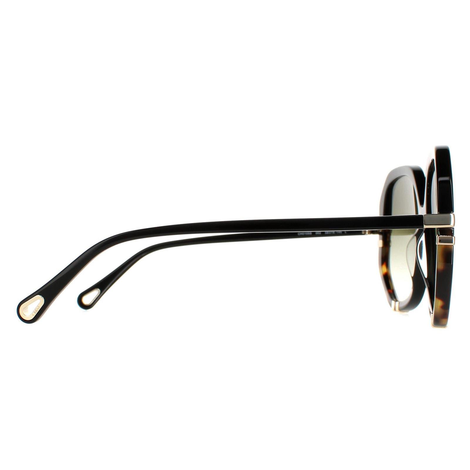 Chloé Women's Chloé  Chloe Shiny Black Tortoise Green Gradient Sunglasses , BrandAlley