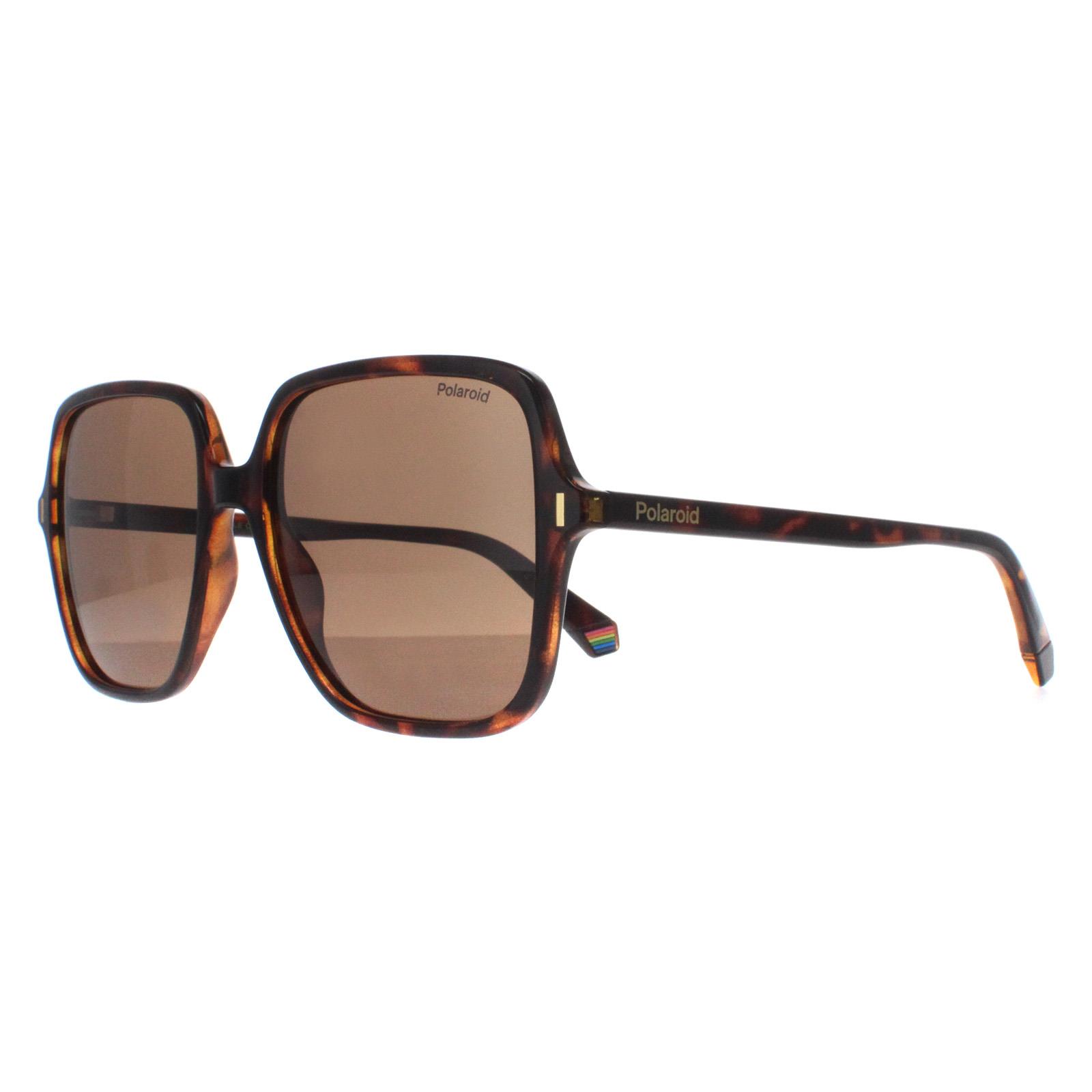 Polaroid Women's  Sunglasses PLD 6219/S 086 SP Havana Bronze Polarized , BrandAlley