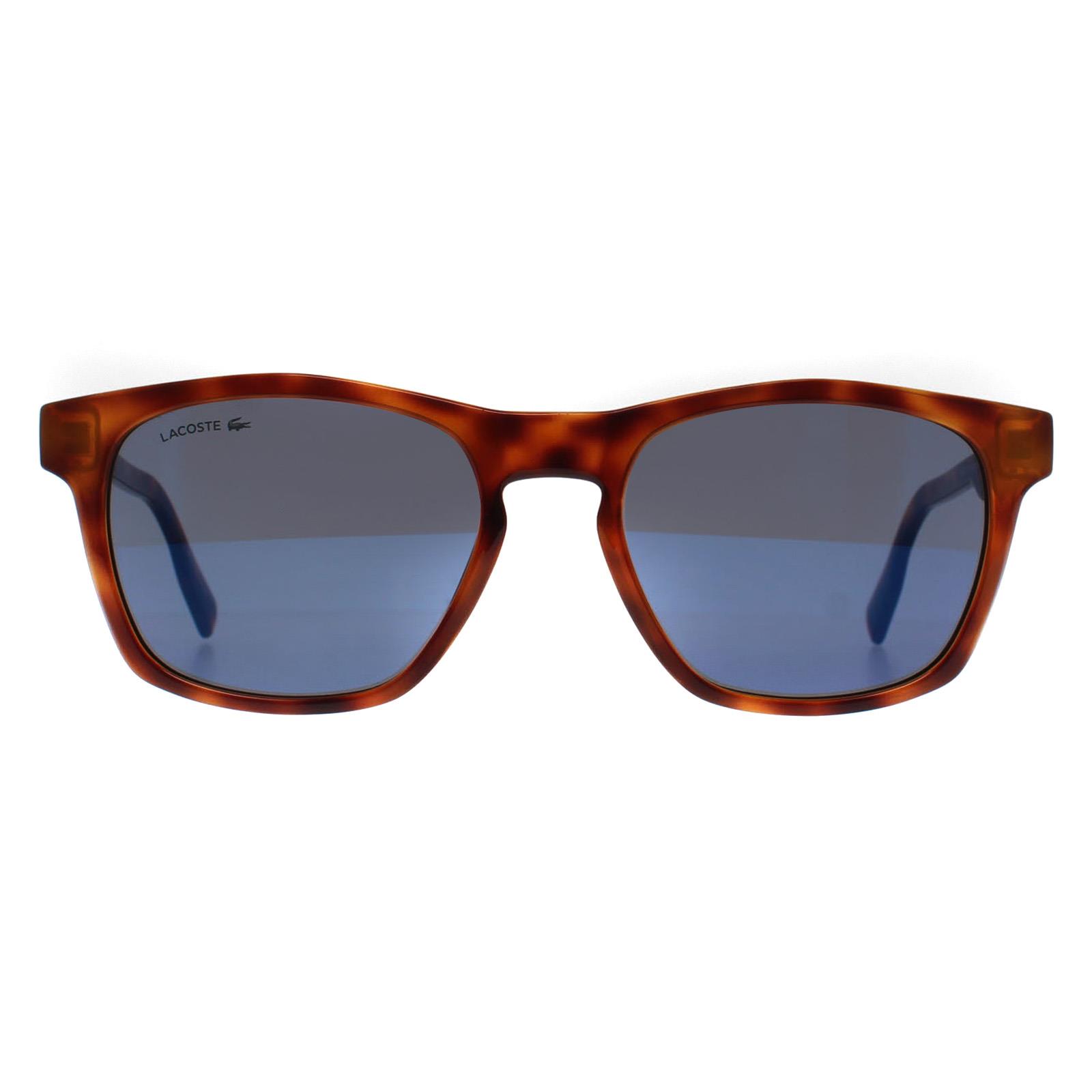 Lacoste Women's  Sunglasses L988S 240 Tortoise  Blue , BrandAlley