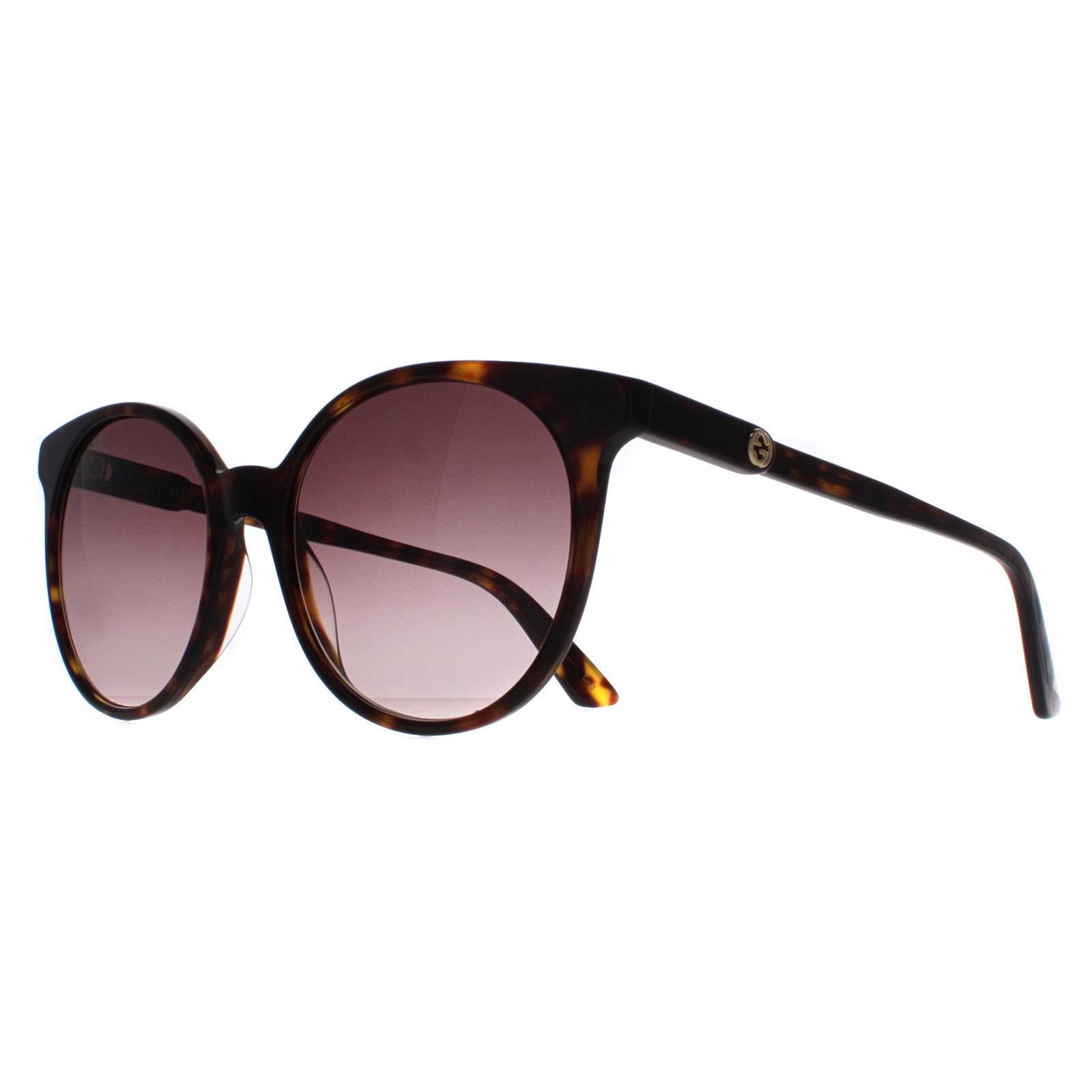 Gucci Women's  Sunglasses GG0488S 002 Dark Havana Brown Gradient , BrandAlley