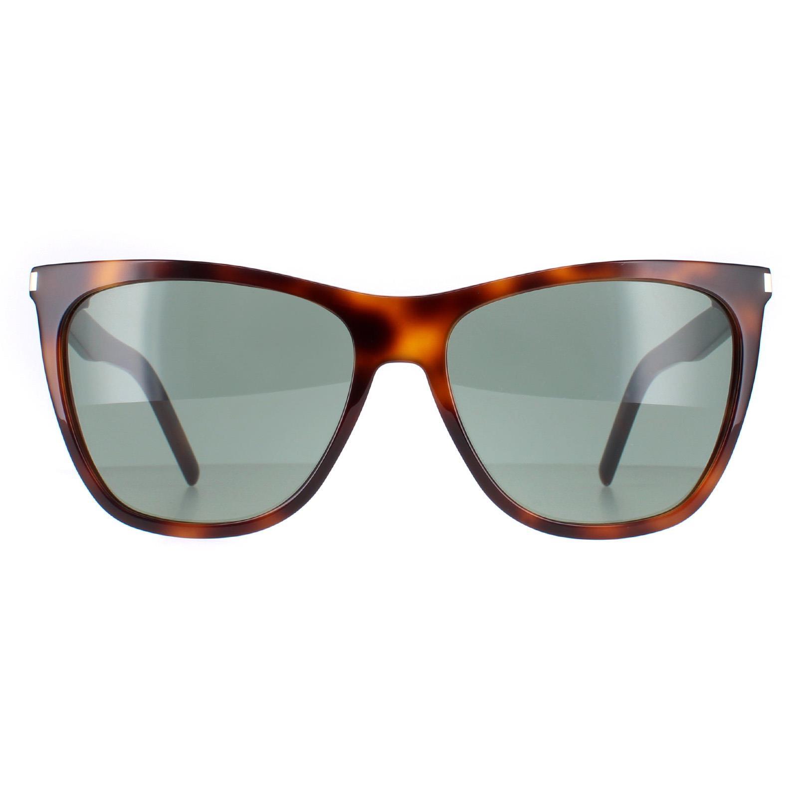 Saint Laurent Women's  Sunglasses SL 526 002 Shiny Medium Havana Solid Green , BrandAlley