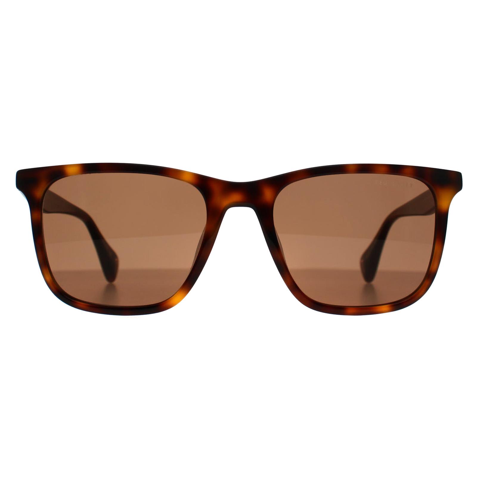Ted Baker Men's  Sunglasses TB1724 Jacobe 104 Gloss Dark Tortoise Brown , BrandAlley