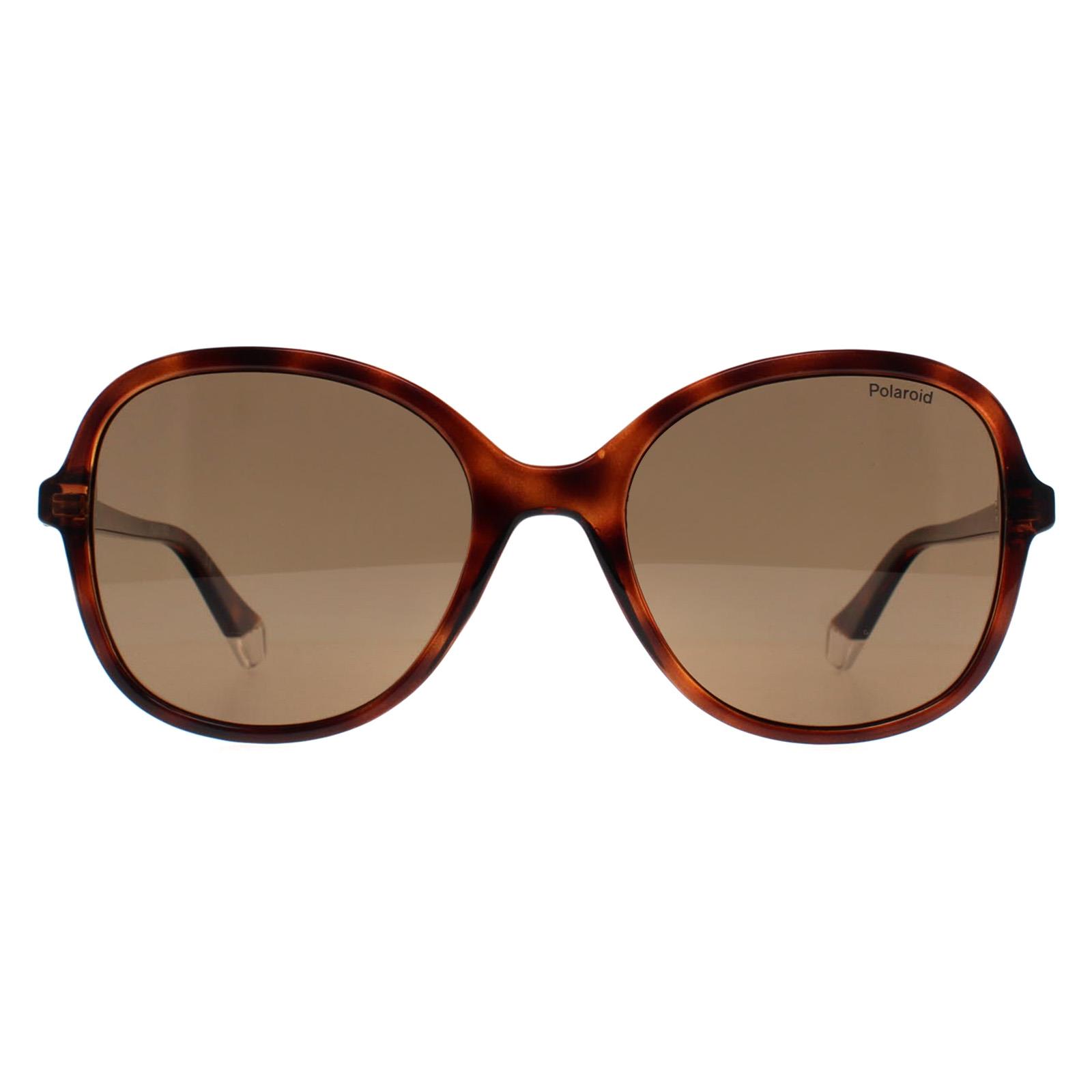 Polaroid Women's  Sunglasses PLD 4136/S 086 SP Havana Bronze Polarized , BrandAlley