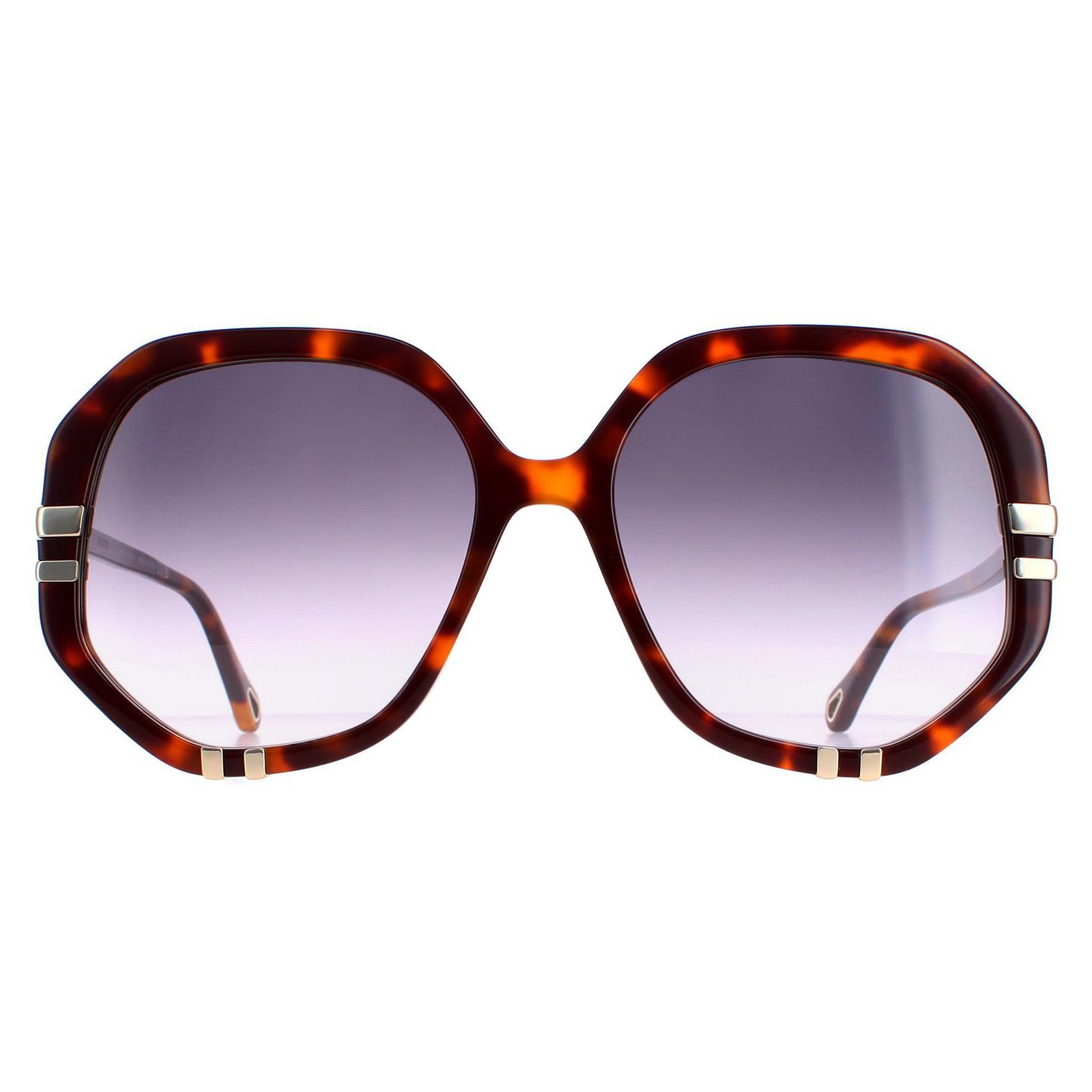 Chloé Women's Chloé  Chloe Sunglasses Tortoise Grey Gradient Sunglasses , BrandAlley