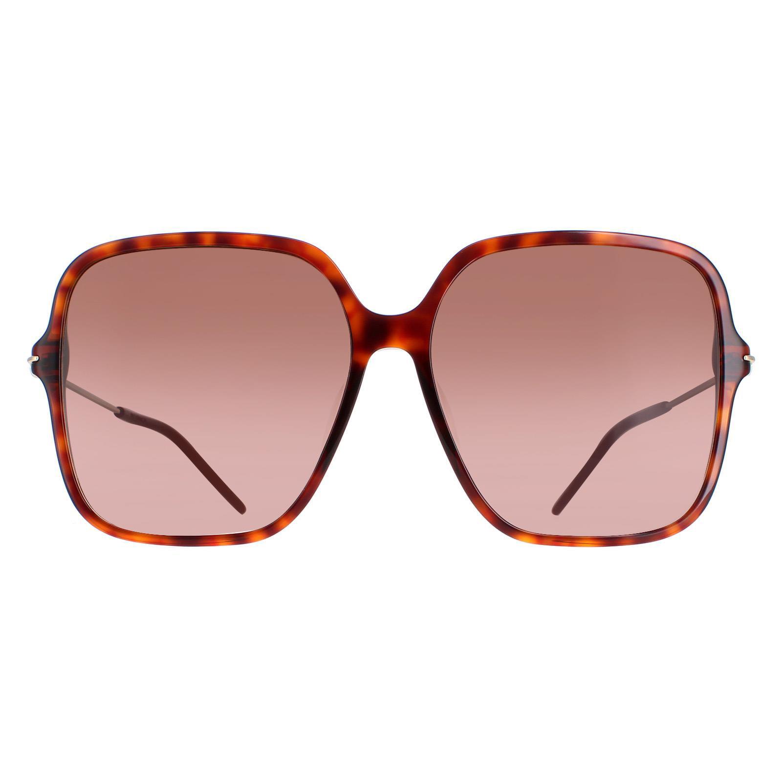Gucci Women's  Sunglasses GG1267S 002 Dark Havana Brown Gradient , BrandAlley
