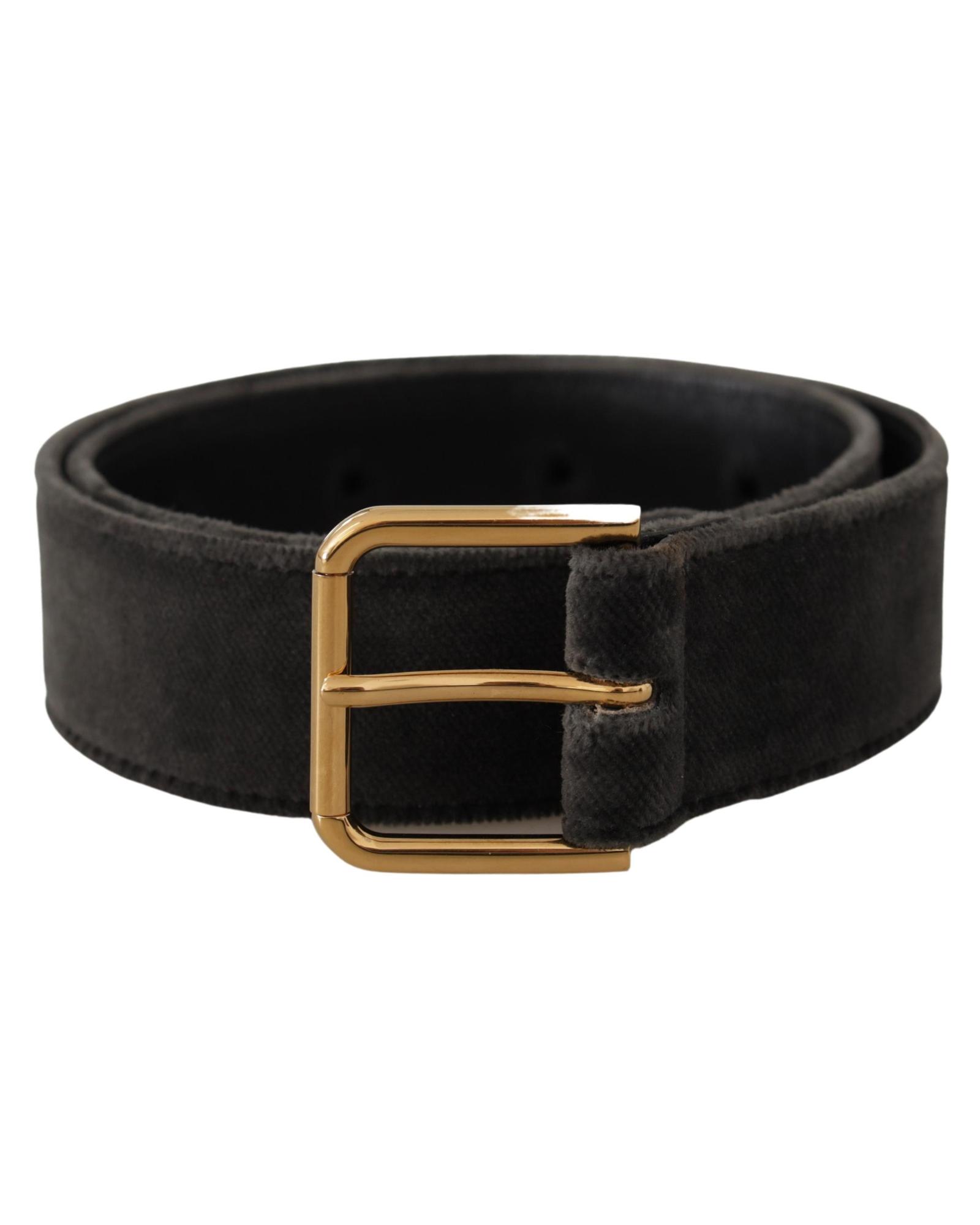 Dolce & Gabbana Velvet Belt Gold Buckle Wo - Brown