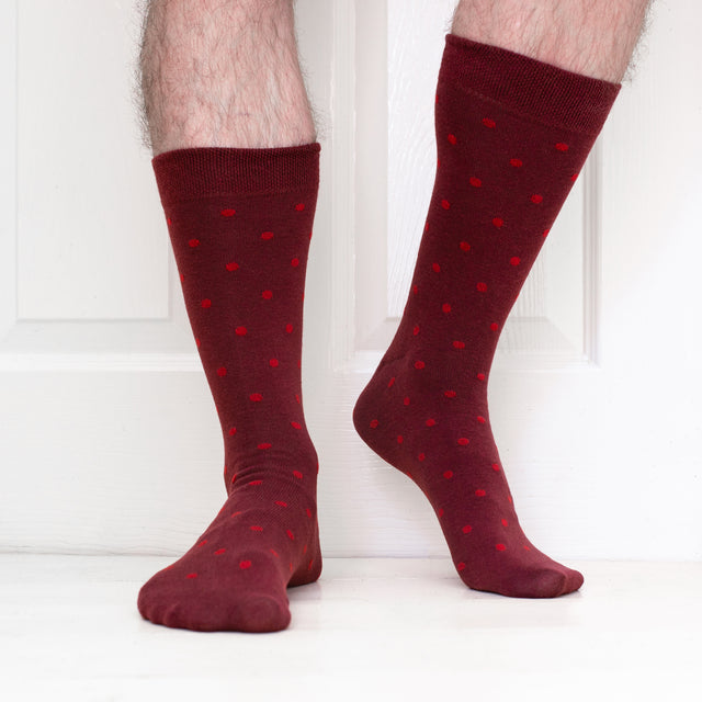 JEMSOX Men's  Small Spot Pattern  Comfort Top Cotton Socks - Burgundy in Size 9/12, BrandAlley