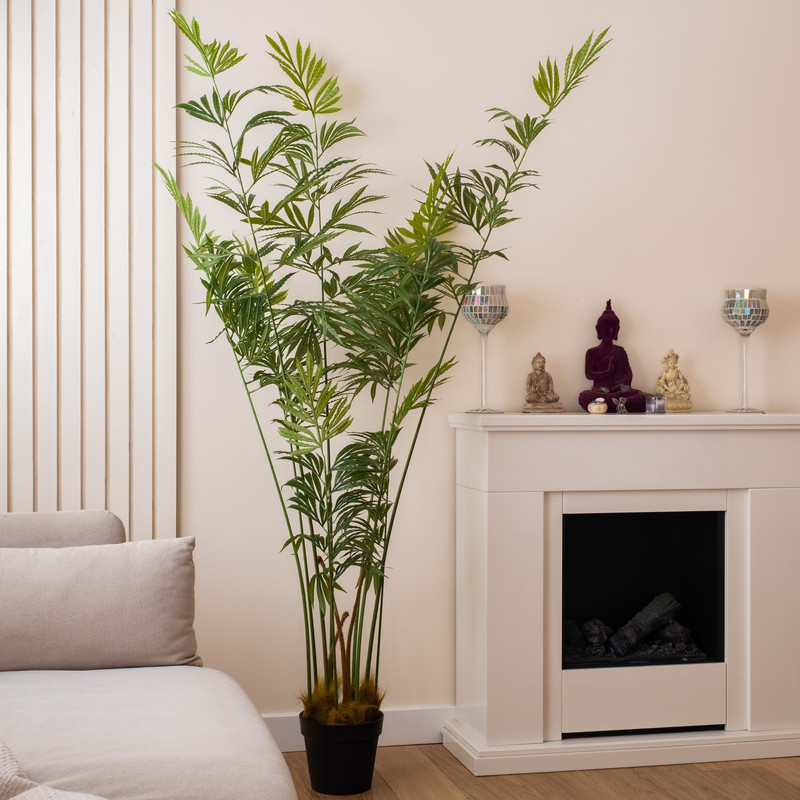 Scottish Everlastings    Green 180Cm Real Touch Cycad Palm , BrandAlley
