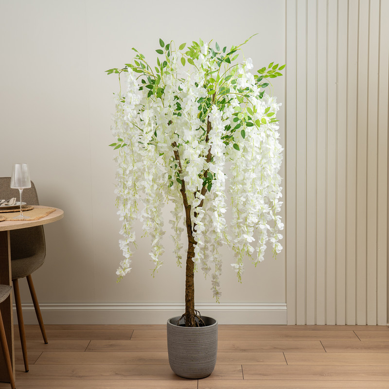 Scottish Everlastings    Cream 150Cm Wisteria Tree , BrandAlley