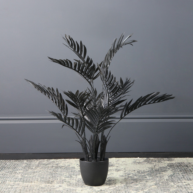 Scottish Everlastings    Black 70Cm Real Touch Areca Palm , BrandAlley