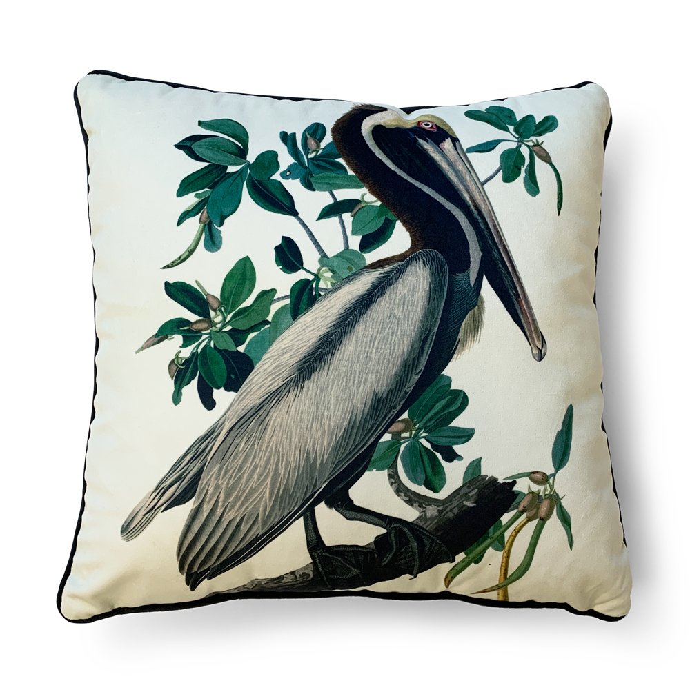 The Art Group   John James Audubon Brown Pelican 40x40cm Cushion , BrandAlley