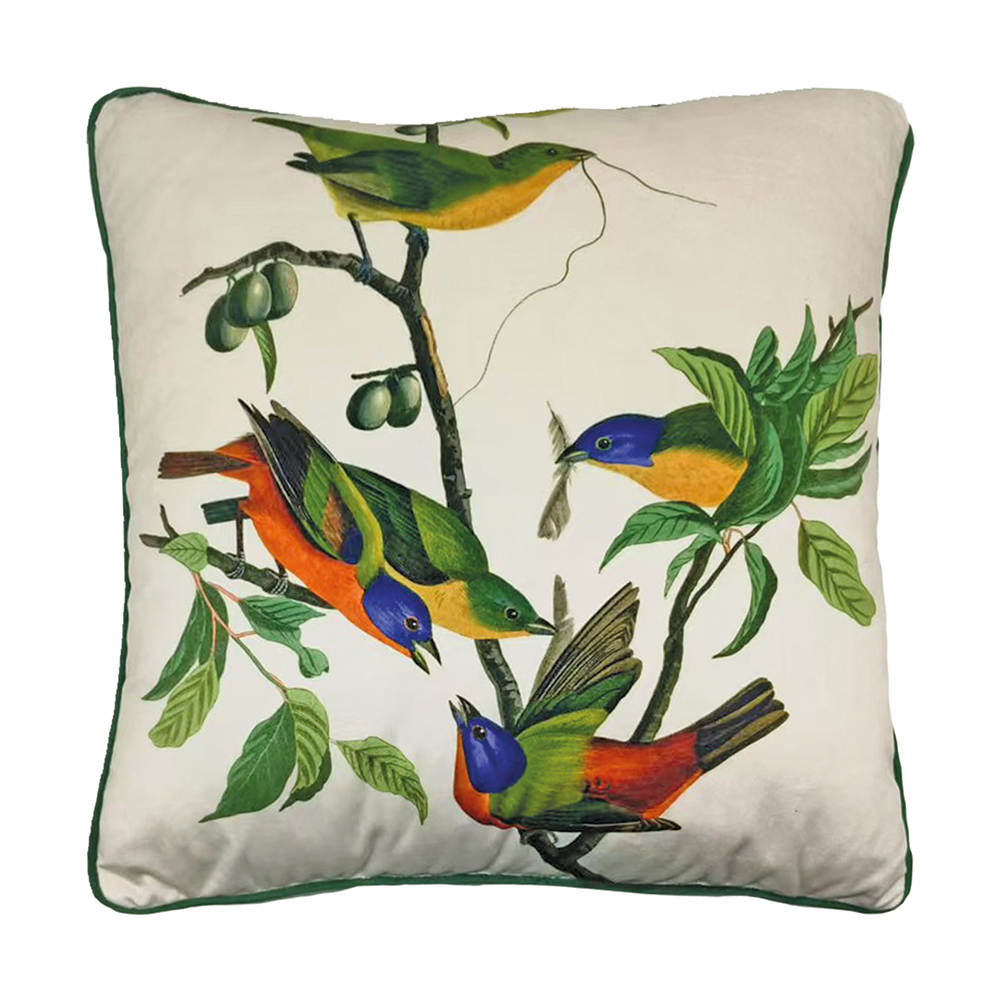 The Art Group     John James Audubon 'Painted Finch' 40X40cm Cushion , BrandAlley