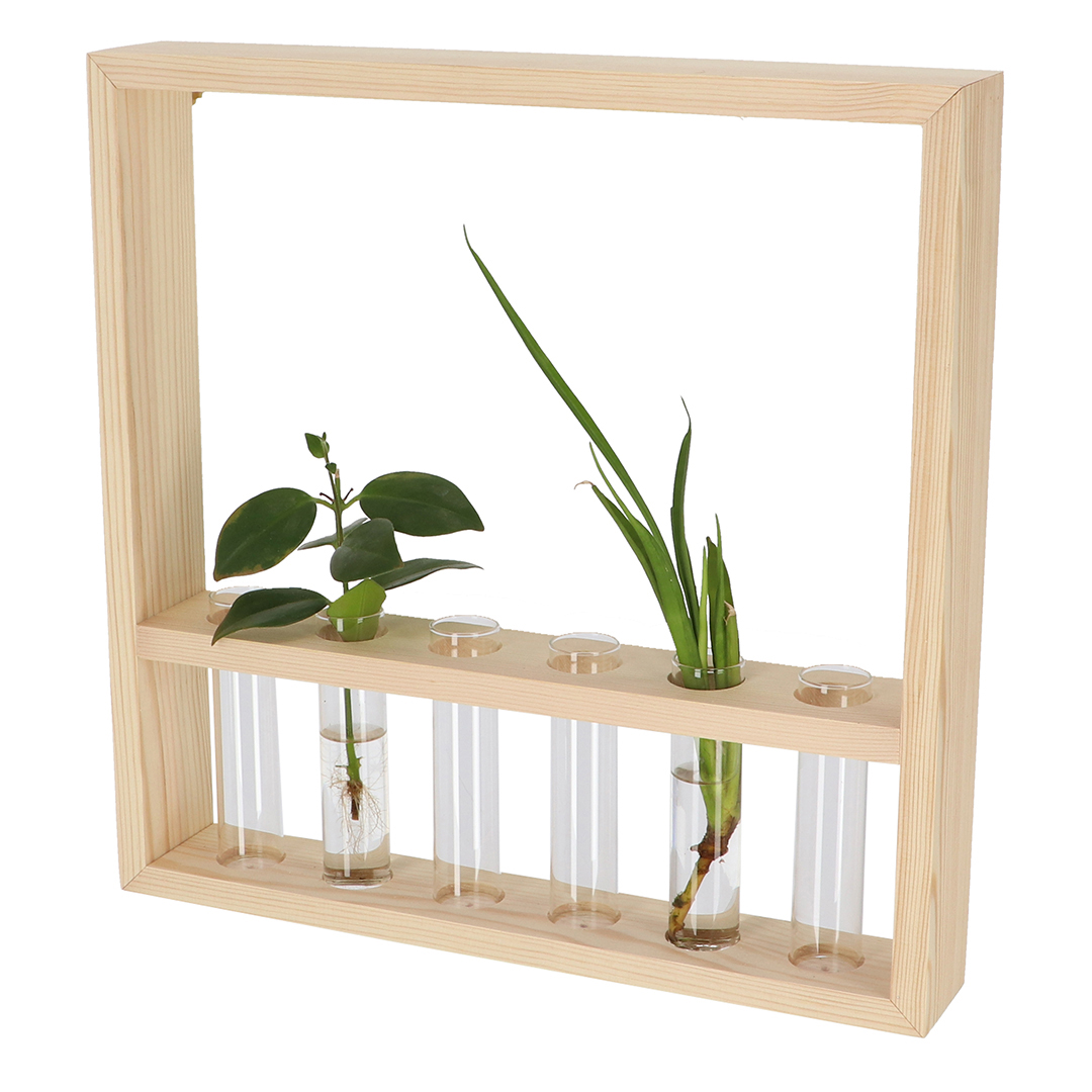 Fallen Fruits     Test Tube Wall Hanger Large in Size Large, BrandAlley