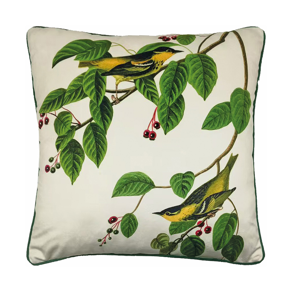 The Art Group     John James Audubon 'Carbonated Warbler' 40X40cm Cushion , BrandAlley