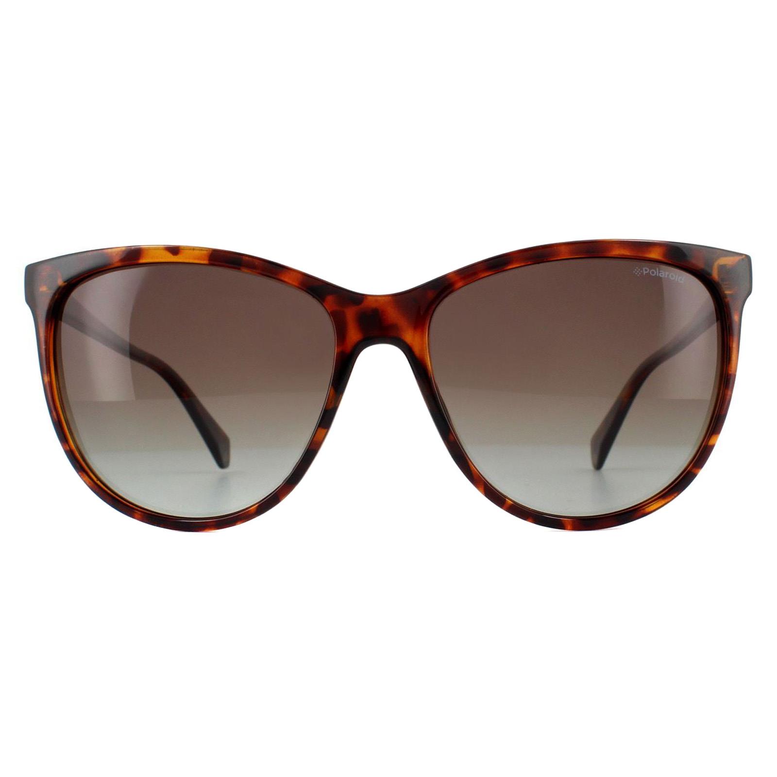 Polaroid Men's   Brown Square  Polarised Pld 4066/S Sunglasses , BrandAlley