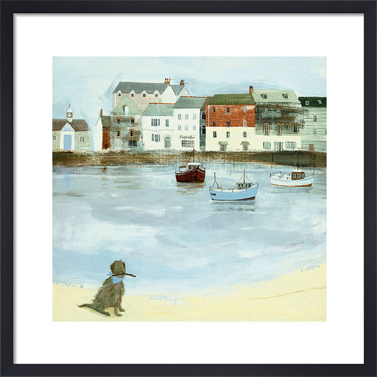 Hannah Cole  Cornish Sea Dog Framed Art Print by  43cm x 43cm , BrandAlley