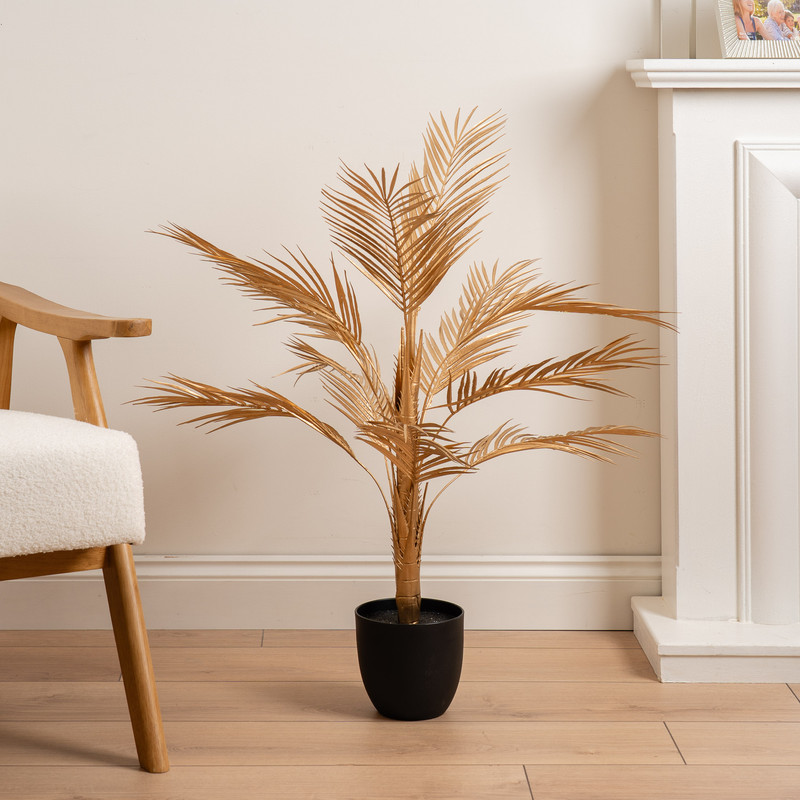 Scottish Everlastings    Gold Palm in Size 85cm, BrandAlley