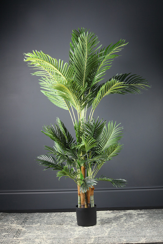 Scottish Everlastings   Real Touch Palm Tree , BrandAlley