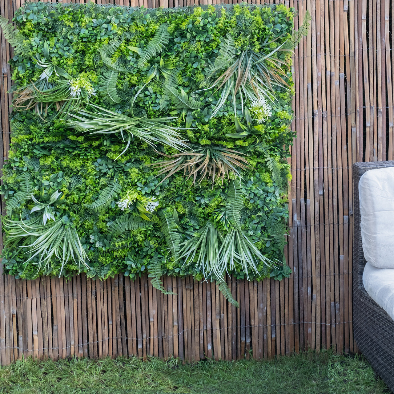 Scottish Everlastings   Mixed Grasses Living Wall Panel in Size 100cm, BrandAlley