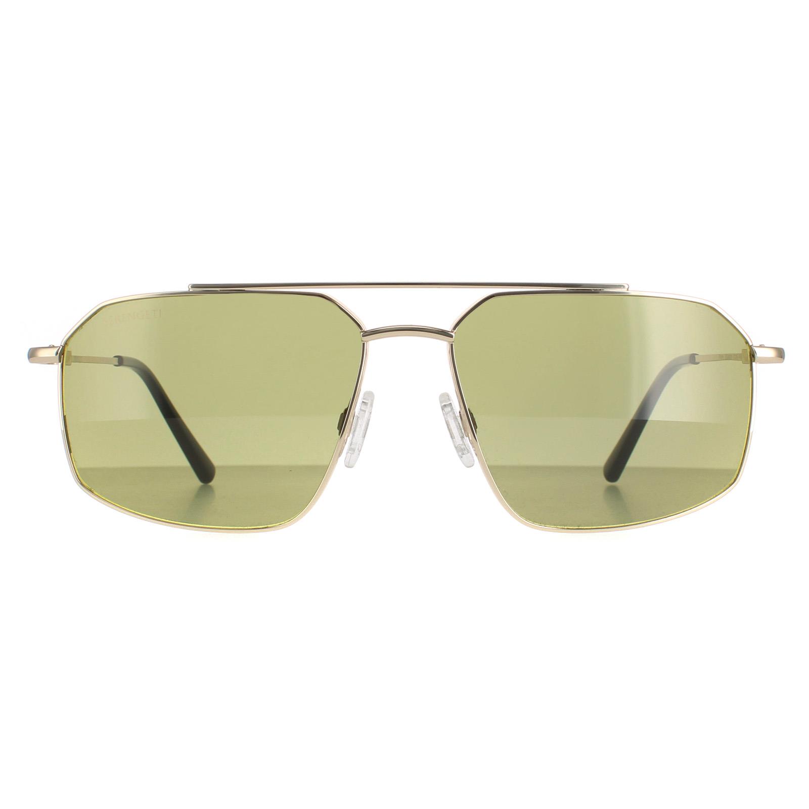 Serengeti Men's   Gold Aviator Male Green Photochromic Wayne Sunglasses , BrandAlley