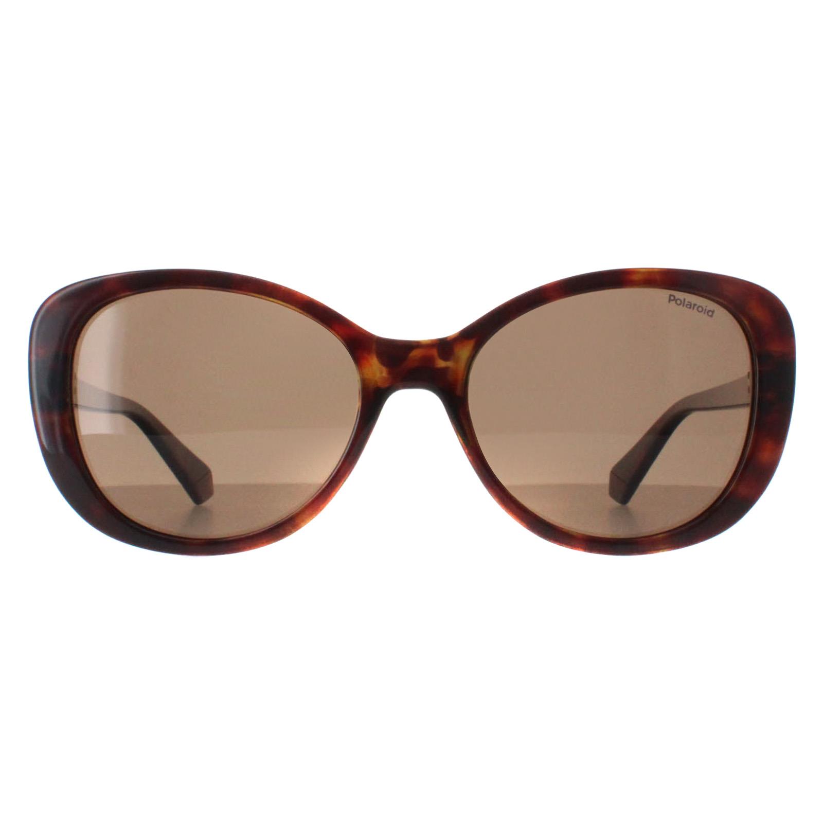 Polaroid Women's   Brown Butterfly Polarised Pld 4154/S/X Sunglasses , BrandAlley