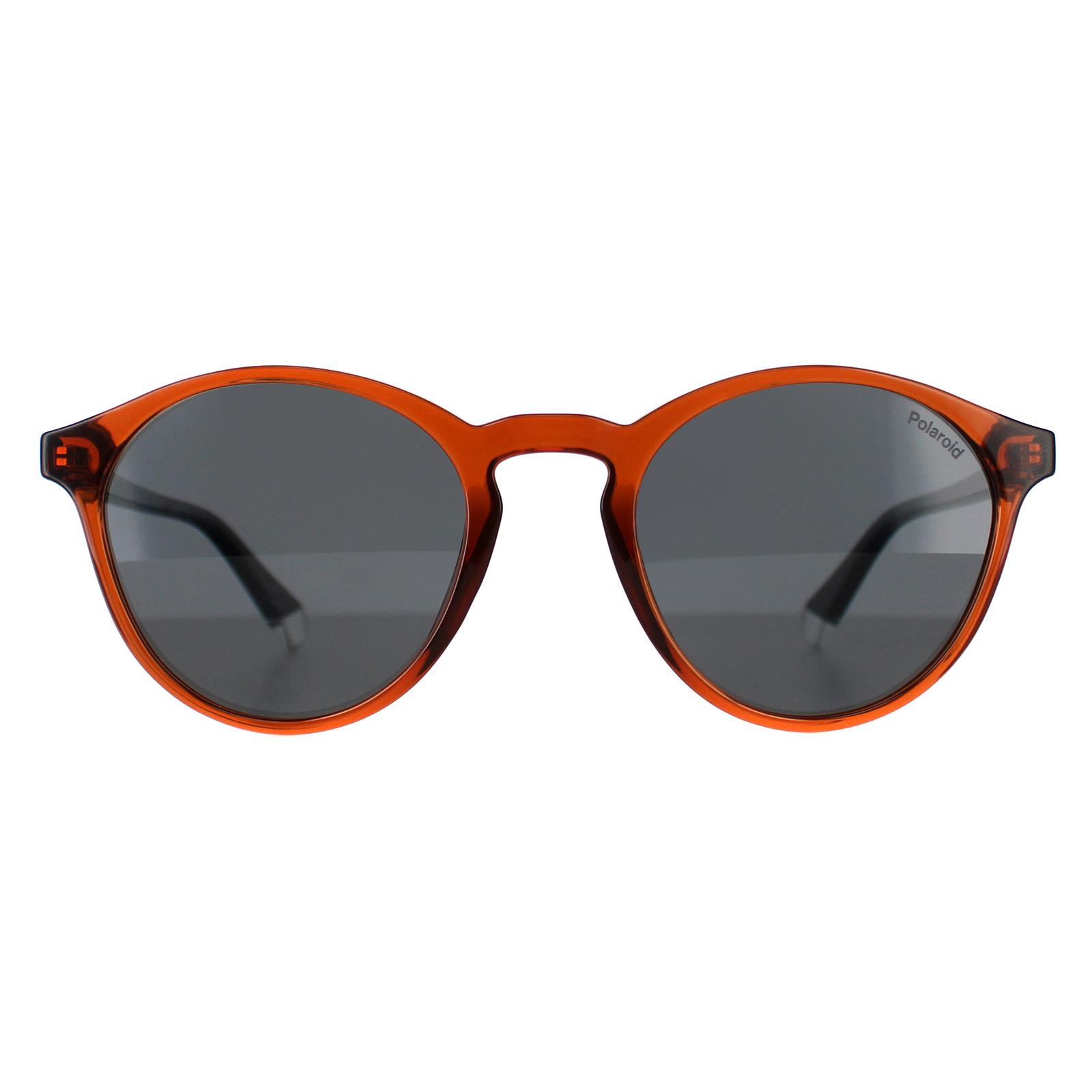 Polaroid Men's  Round Male Brown Gray PLD 4153/S Sunglasses , BrandAlley