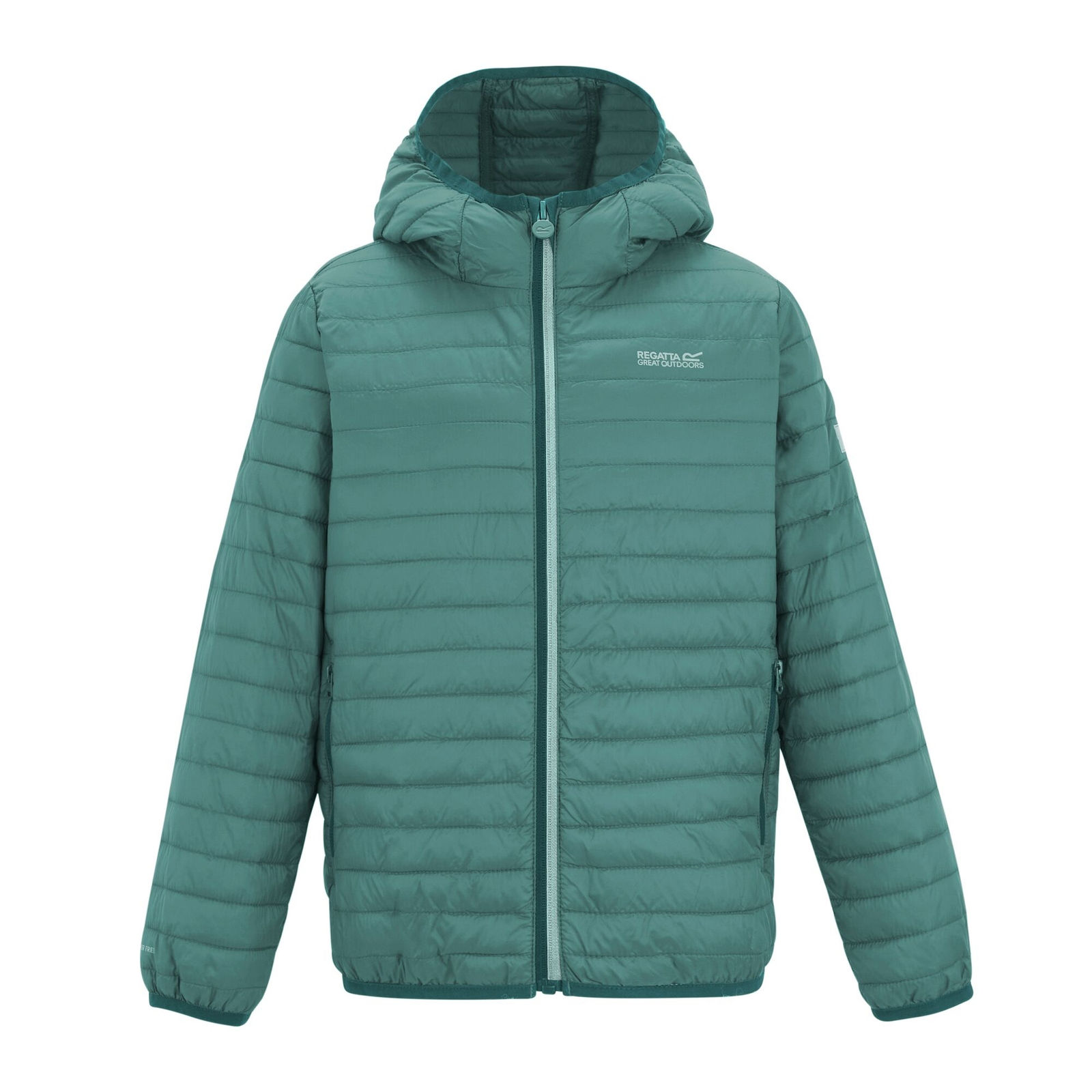 Regatta Boys  Jacket Hillpack Polyamide Ivy Moss in Size 3/4 Years, BrandAlley