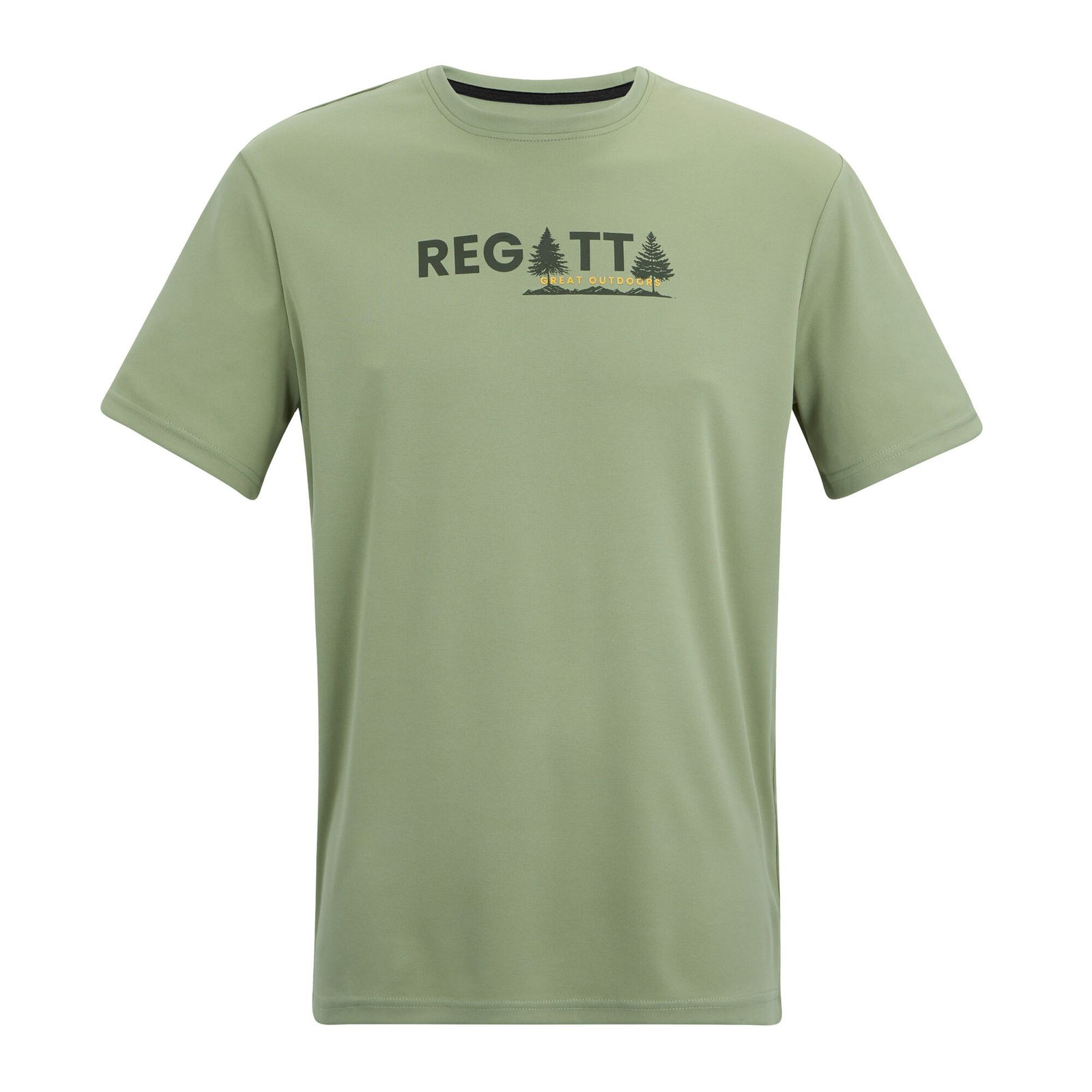 Regatta Men's  T-Shirt Fingal Polyester Sage Green in Size 5XL, BrandAlley