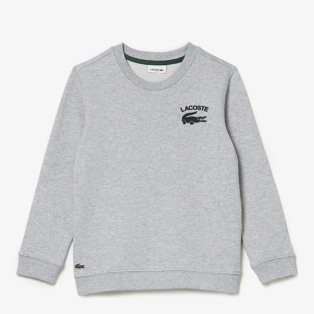 Teen Boy's Grey Logo Crew Neck Jumper
