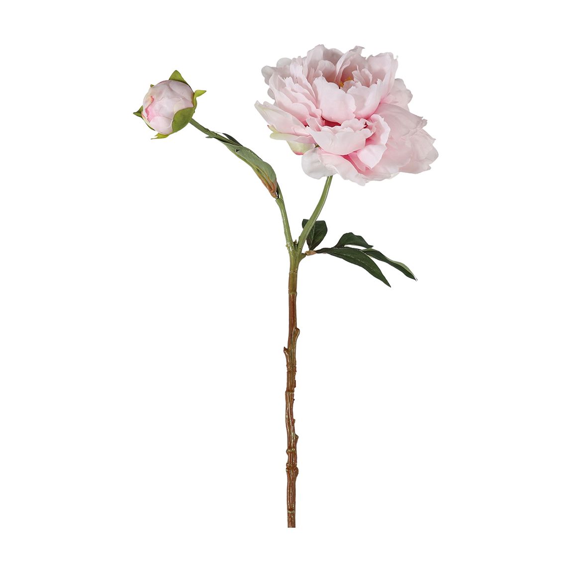 Peony Spray Pink 6 Pack, 540mm main product photo