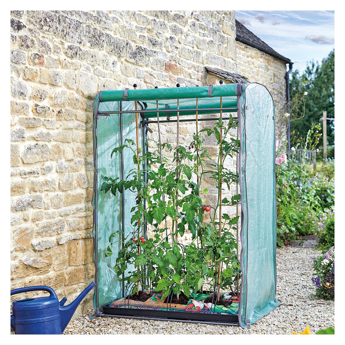 Tomato Gro-Zone Max main product photo